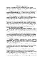 Referāts 'Vulkāni', 11.