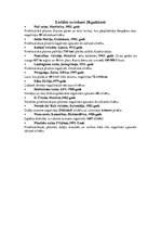 Referāts 'Vulkāni', 13.