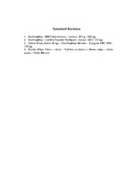 Referāts 'Vulkāni', 14.