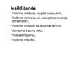 Prezentācija 'Iesildīšanās un atsildīšanās nozīme pludmales volejbolā', 7.