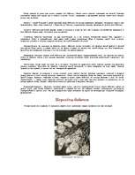 Referāts 'Чешуекрылые', 5.