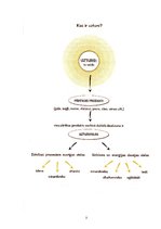 Referāts 'Veselīga uztura nozīme skolas vecuma bērnu attīstībā', 3.
