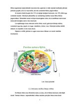 Referāts 'Veselīga uztura nozīme skolas vecuma bērnu attīstībā', 7.