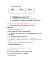 Konspekts 'Valoda - cilvēces kultūras mantojums', 2.