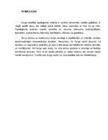 Prezentācija 'Arhetipu teorija Karla Gustava Junga skatījumā', 10.