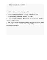 Prezentācija 'Arhetipu teorija Karla Gustava Junga skatījumā', 11.