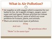 Prezentācija 'Air Pollution', 2.