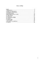 Biznesa plāns 'SIA "Viesturi"', 2.