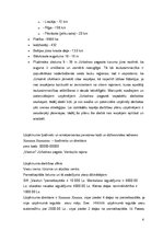 Biznesa plāns 'SIA "Viesturi"', 6.