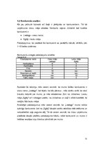 Biznesa plāns 'SIA "Viesturi"', 21.