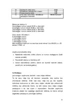 Biznesa plāns 'SIA "Viesturi"', 25.