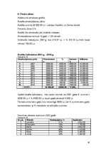 Biznesa plāns 'SIA "Viesturi"', 29.