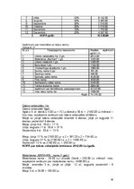 Biznesa plāns 'SIA "Viesturi"', 30.