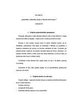 Konspekts 'Projekta plāns', 1.