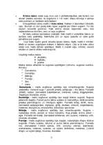 Referāts 'Mežs', 3.