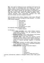 Referāts 'Mežs', 4.