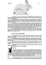 Referāts 'Zaķis viduslaiku dziesmās', 3.