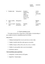 Referāts 'Biškopības industrijas analīze', 6.