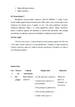 Referāts 'Biškopības industrijas analīze', 16.