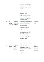 Referāts 'Biškopības industrijas analīze', 17.