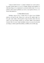 Referāts 'Biškopības industrijas analīze', 18.