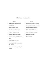 Referāts 'Biškopības industrijas analīze', 21.