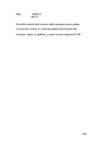 Paraugs 'Investīcijas un naudas plūsmas', 3.