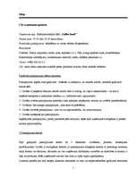 Referāts 'Izpēte jauna uzņēmuma "Coffee hand" mārketinga komunikāciju plānam', 1.