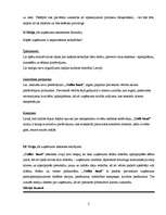 Referāts 'Izpēte jauna uzņēmuma "Coffee hand" mārketinga komunikāciju plānam', 2.