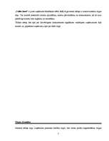 Referāts 'Izpēte jauna uzņēmuma "Coffee hand" mārketinga komunikāciju plānam', 3.