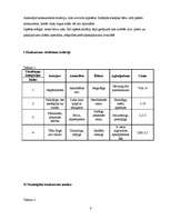 Referāts 'Izpēte jauna uzņēmuma "Coffee hand" mārketinga komunikāciju plānam', 8.