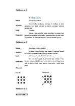 Konspekts 'Nodarbība pedagogiem. Tēma - konflikti ar pusaudžiem', 4.