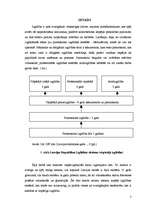 Referāts 'Vispārizglītojošo skolu izglītojamo statistiskā analīze 1997./1998. - 2006./2007', 7.