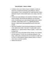 Referāts 'Gaisa piesārņojums', 11.