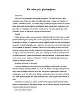 Referāts 'Gaisa piesārņojums', 16.