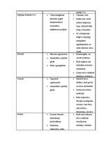 Referāts 'Gaisa piesārņojums', 19.