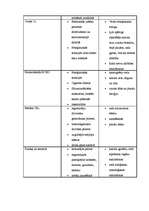 Referāts 'Gaisa piesārņojums', 20.