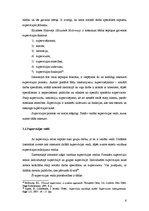 Referāts 'Supervīzija un tās nodrošināšanas veidi', 6.