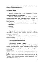 Referāts 'Supervīzija un tās nodrošināšanas veidi', 9.