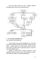 Referāts 'Supervīzija un tās nodrošināšanas veidi', 19.