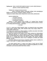 Referāts 'Vadītāja "X" analīze', 4.