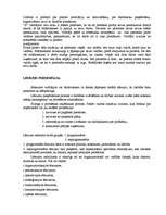 Referāts 'Vadītāja "X" analīze', 10.