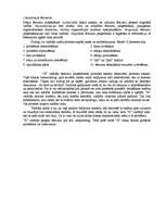 Referāts 'Vadītāja "X" analīze', 11.