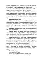 Referāts 'Reklāmas semiotiskā analīze', 3.