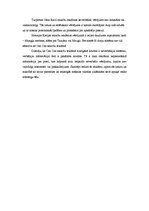 Referāts 'Reklāmas semiotiskā analīze', 5.