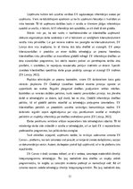 Prakses atskaite 'Prakses pārskats SIA "Ernst & Young Baltic"', 12.