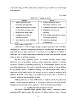 Prakses atskaite 'Prakses pārskats SIA "Ernst & Young Baltic"', 14.