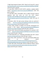 Prakses atskaite 'Prakses pārskats SIA "Ernst & Young Baltic"', 33.