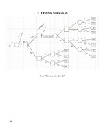 Konspekts 'Lēmumu pieņemšanas koki', 14.