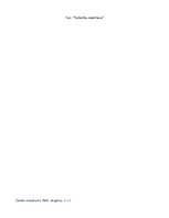 Konspekts 'Lēmumu pieņemšanas koki', 21.